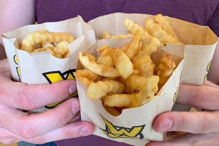 which-wich-fries-1